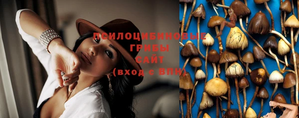 дживик Бугульма