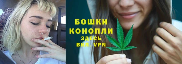 ешки Бронницы