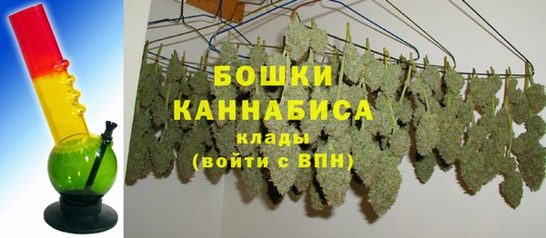 винт Бородино