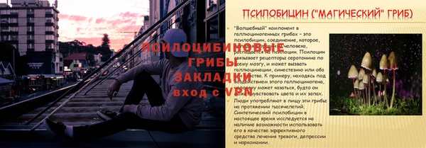 ешки Бронницы