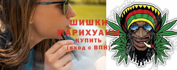 ешки Бронницы