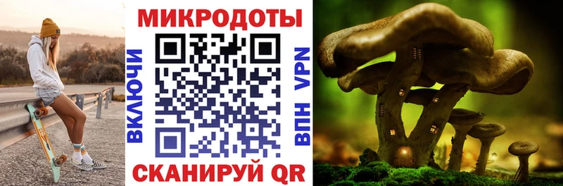 Псилоцибиновые грибы Cubensis  Грозный 
